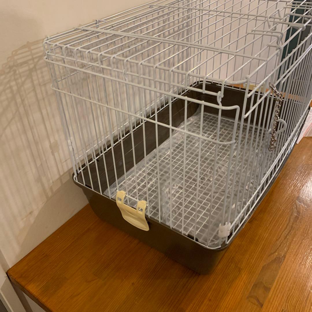 うさぎが上手に飼える　リビングルームM