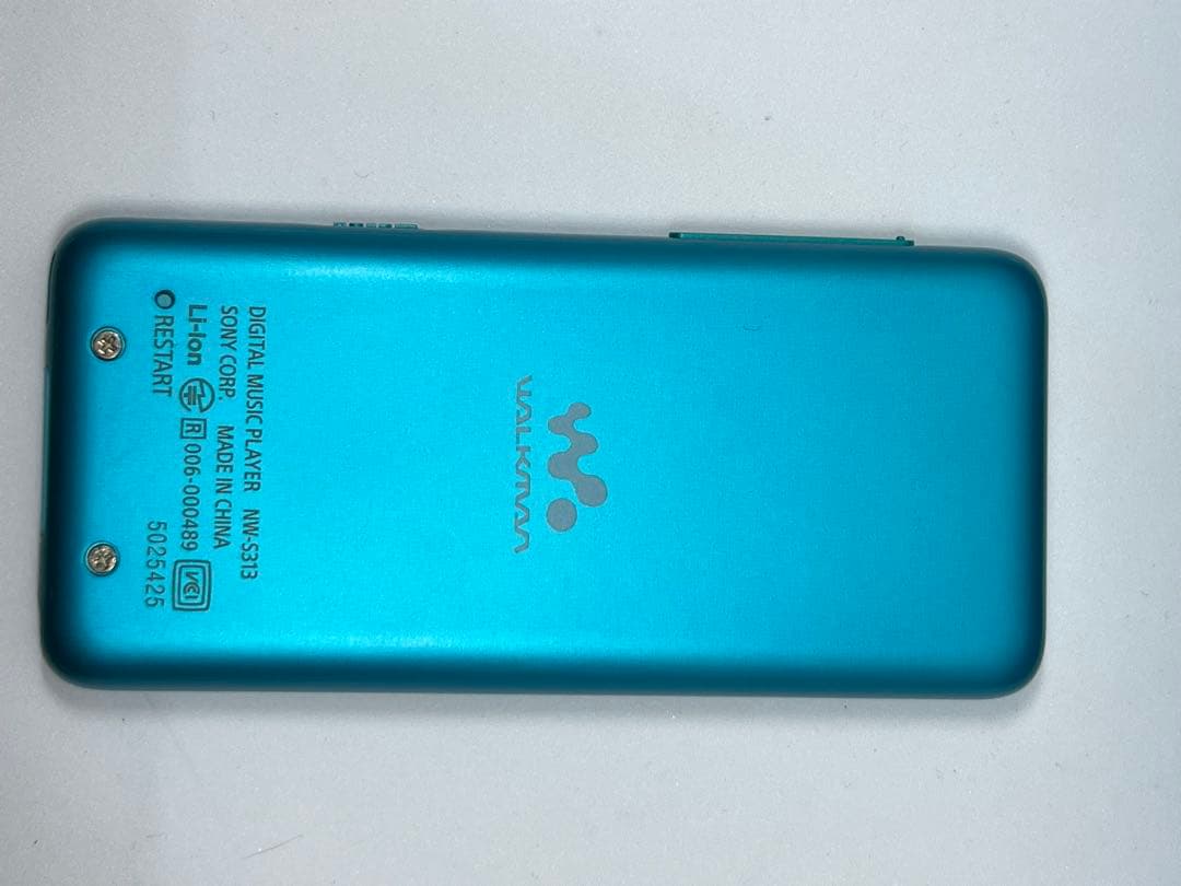 SONY ウォークマン　NW-S313K スピーカー、ハードケース付き