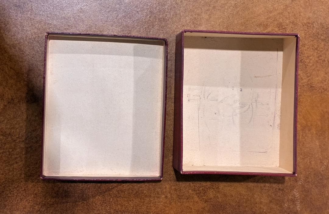 Vintage　解剖学スタンプ　ベルギー　教育教材会社STEPPE NINOVE