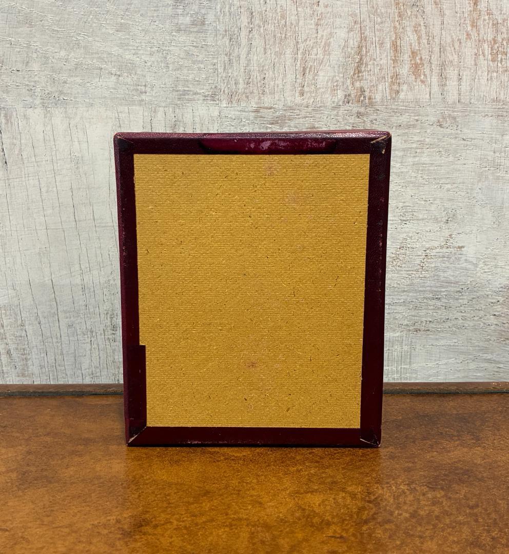 Vintage　解剖学スタンプ　ベルギー　教育教材会社STEPPE NINOVE