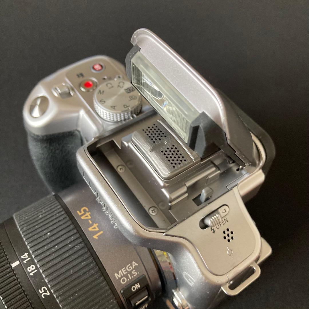 【美品】Panasonic LUMIX DMC-G5 14-45 G VARIO