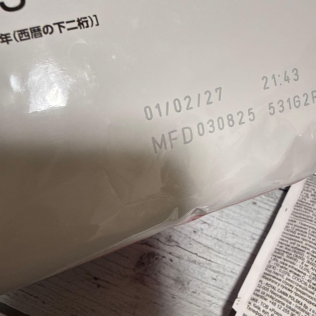  CANIN 成長後期の子猫用　セット
