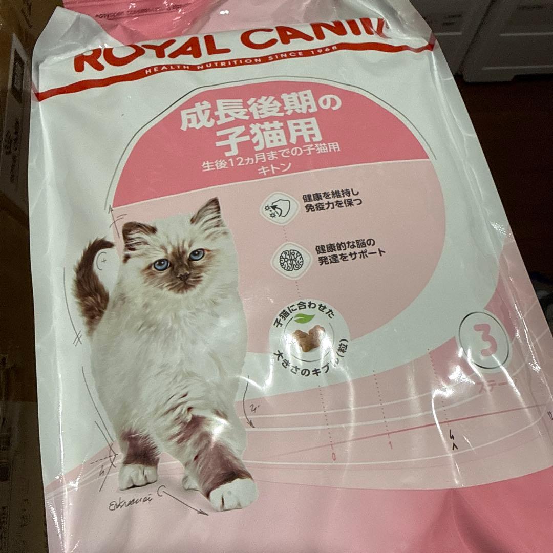  CANIN 成長後期の子猫用　セット