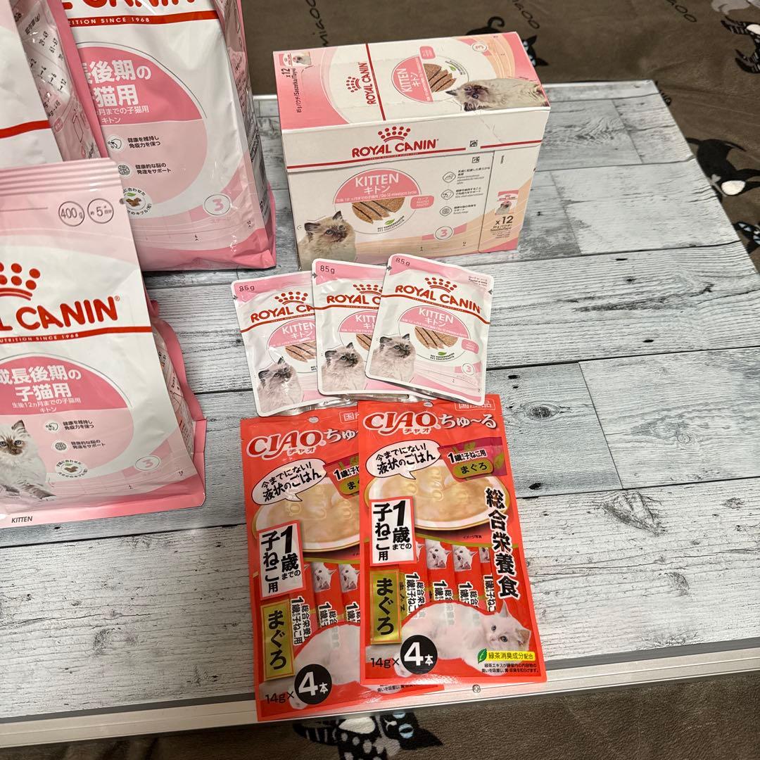  CANIN 成長後期の子猫用　セット