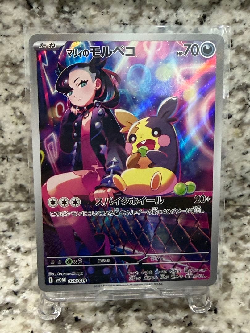 psa個体11枚セット　セタリング◎ 超美品