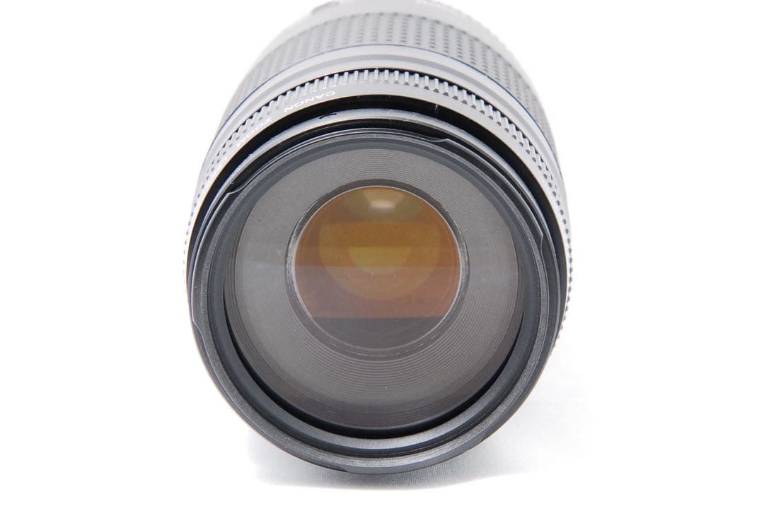 スマホだと届かない距離へ　Canon キャノン EF 75-300mm Ⅲ