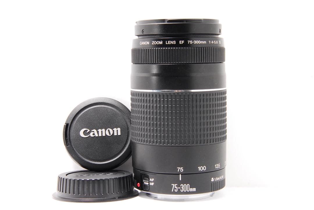 スマホだと届かない距離へ　Canon キャノン EF 75-300mm Ⅲ