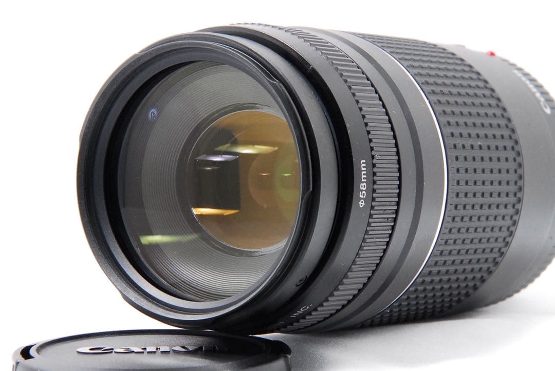 スマホだと届かない距離へ　Canon キャノン EF 75-300mm Ⅲ