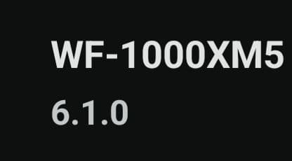 SONY WF-1000X5 ワイヤレスイヤホン ケース,右耳のみ(6.1.0)