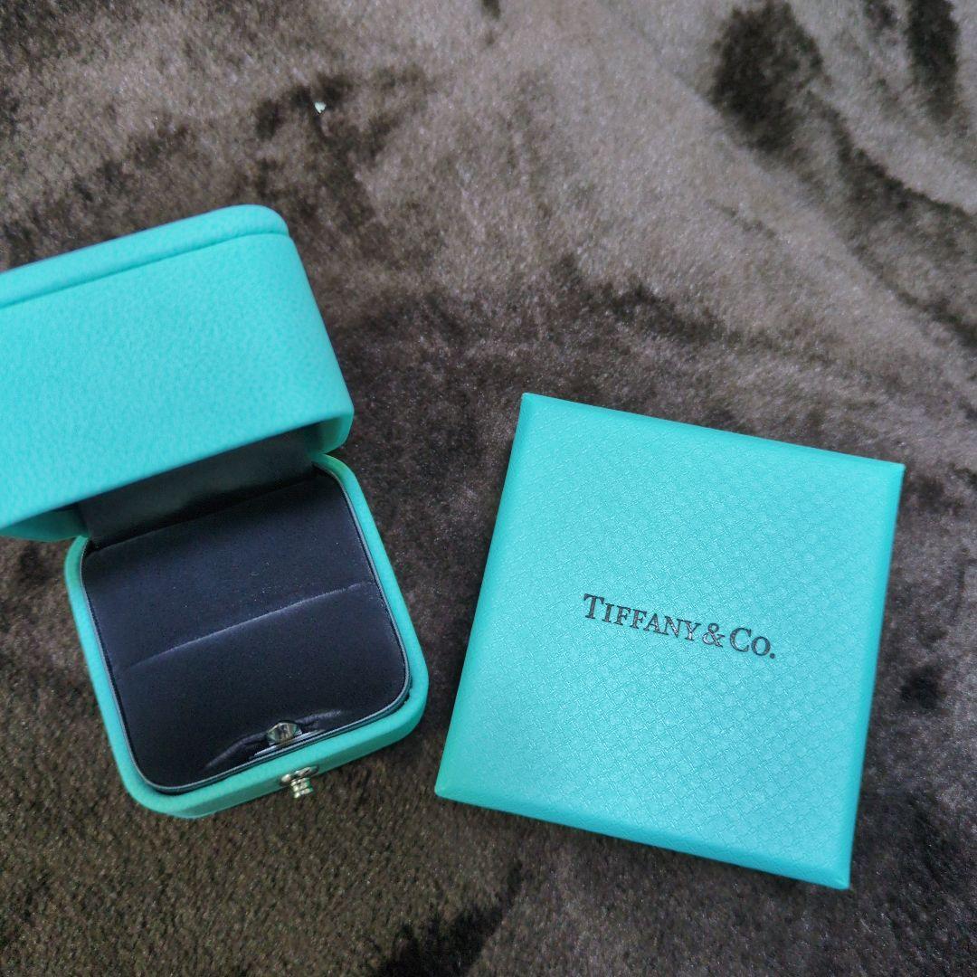 Tiffany & Co. ショッパー・ポーチ・ボックスセットと ケアキット