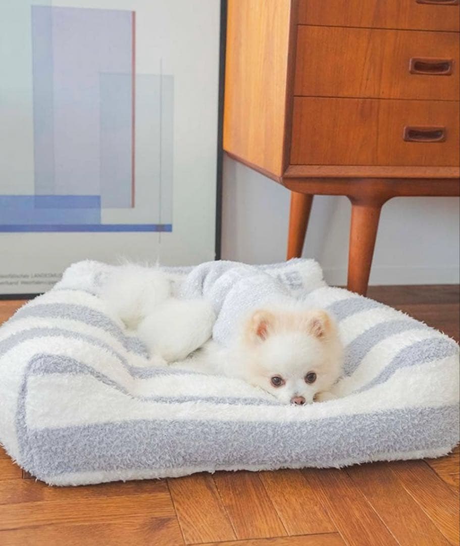 ジェラートピケ【CAT&DOG】ソファ型ベッド ブルー ペットベッド