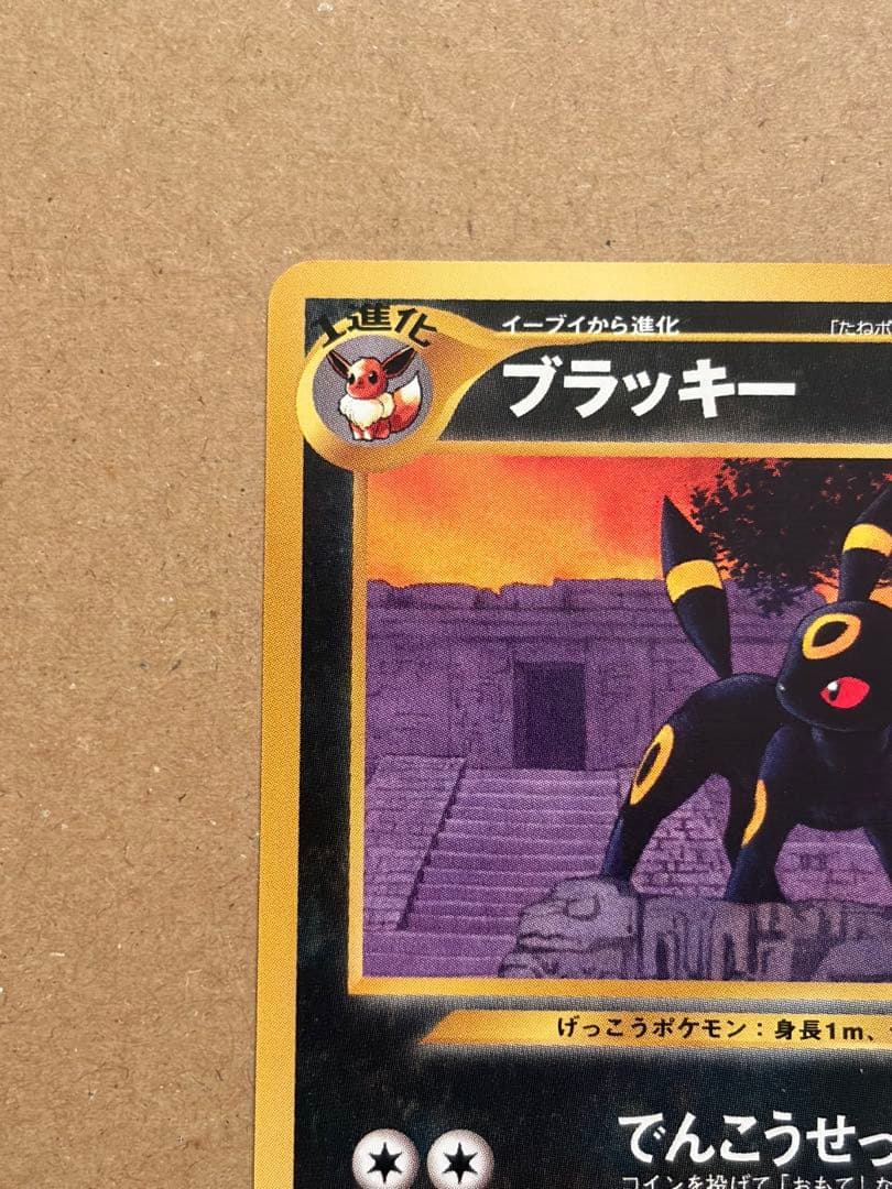 ポケモンカード　旧裏　ブラッキー　プレミアムファイル２　プロモ