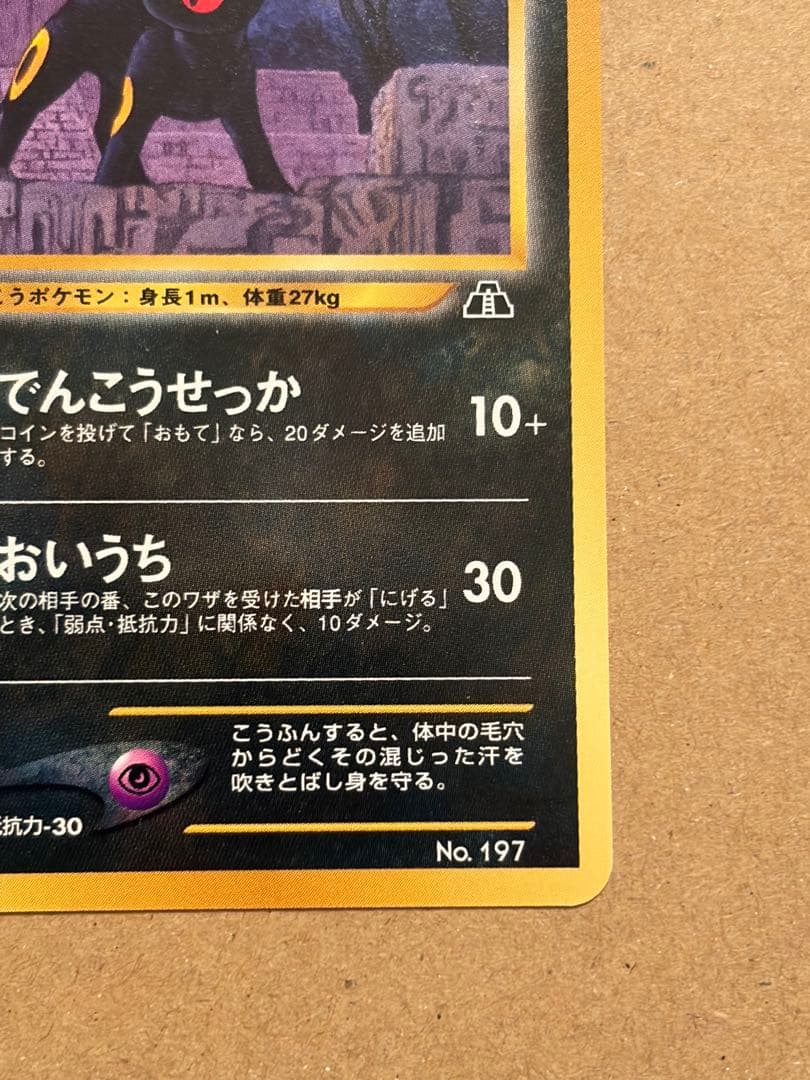 ポケモンカード　旧裏　ブラッキー　プレミアムファイル２　プロモ