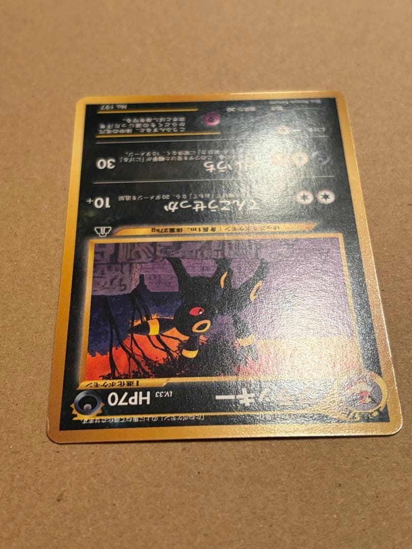 ポケモンカード　旧裏　ブラッキー　プレミアムファイル２　プロモ