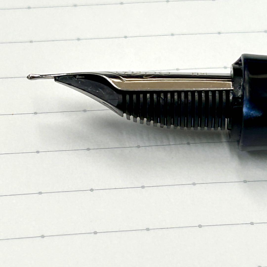 Visconti DIVINA palladium nib 化粧箱有り