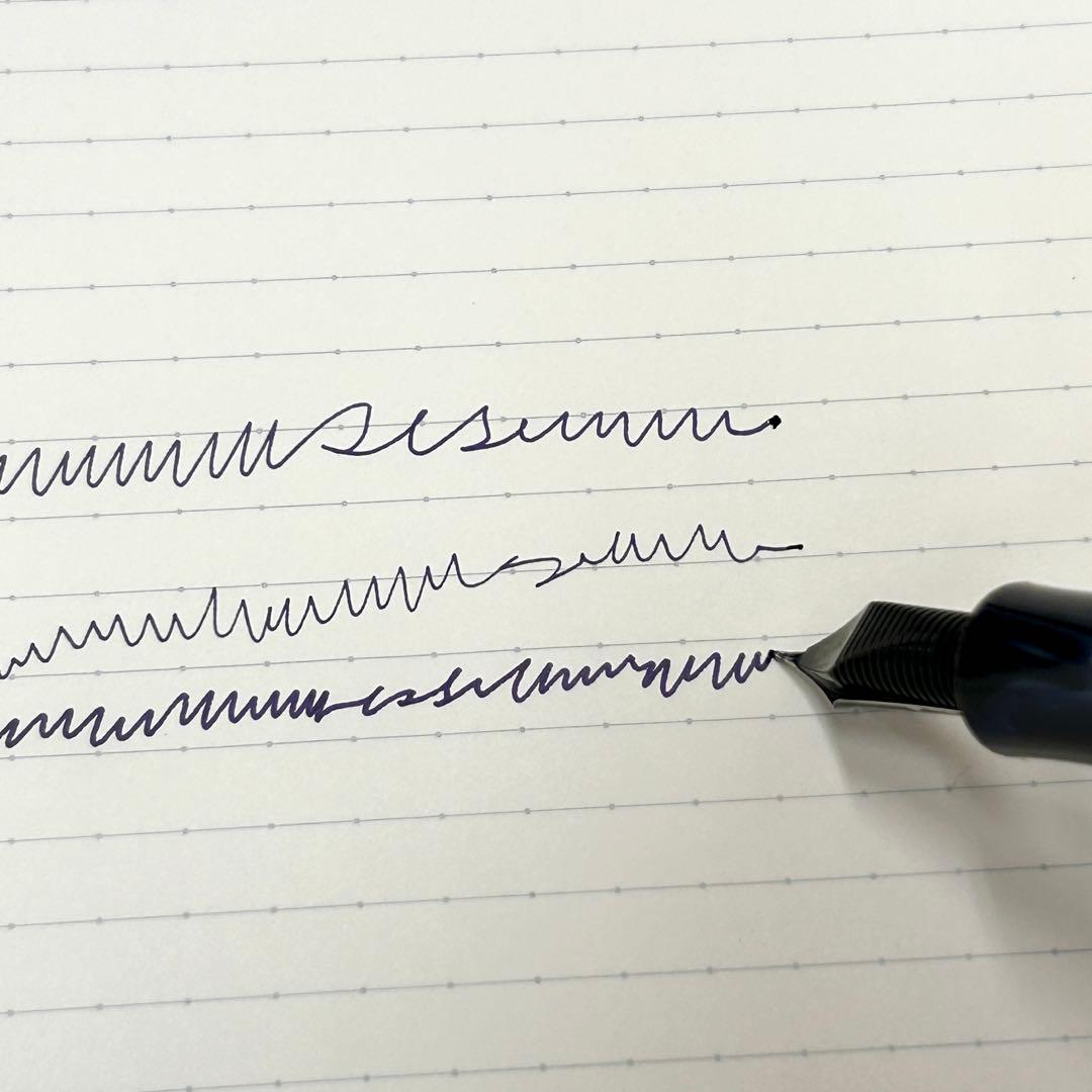 Visconti DIVINA palladium nib 化粧箱有り