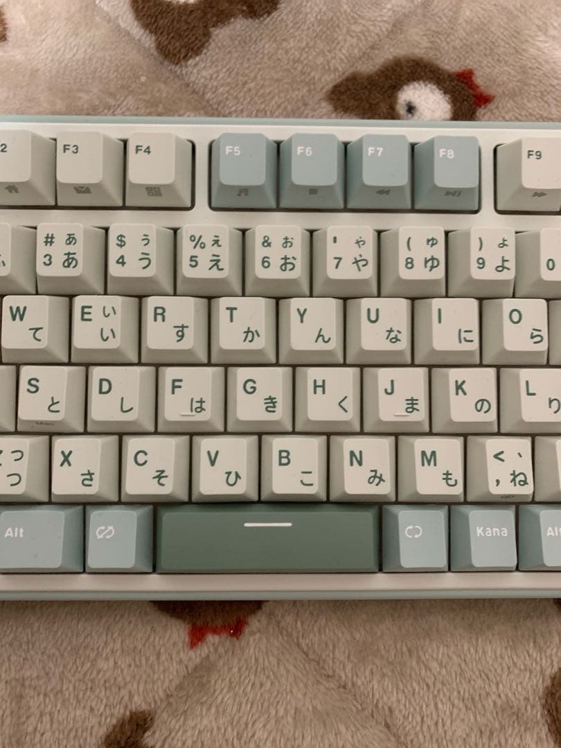 RK メカニカルキーボード 日本語配列　美品
