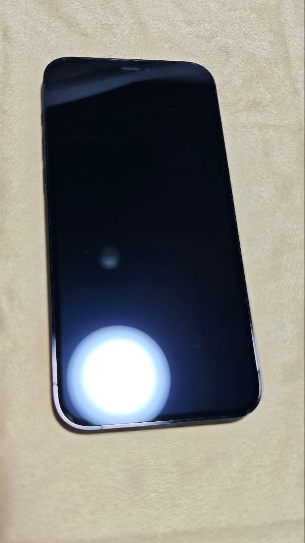 iPhone12 Pro 本体 128GB 動作確認済 美品 SIMフリー