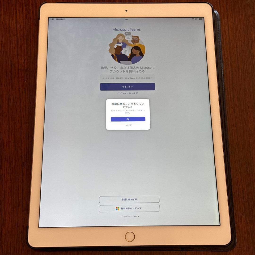 iPad Pro 12.9 32GB ML0H2J/A Pencil ケース付