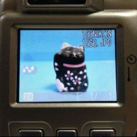 Nikon Coolpix 3100デジタルカメラ【動作確認品】