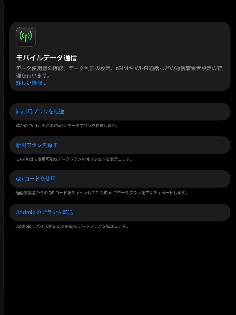 iPad Pro (M4) 13インチ セルラー、ナノテクスチャーガラス　極美品