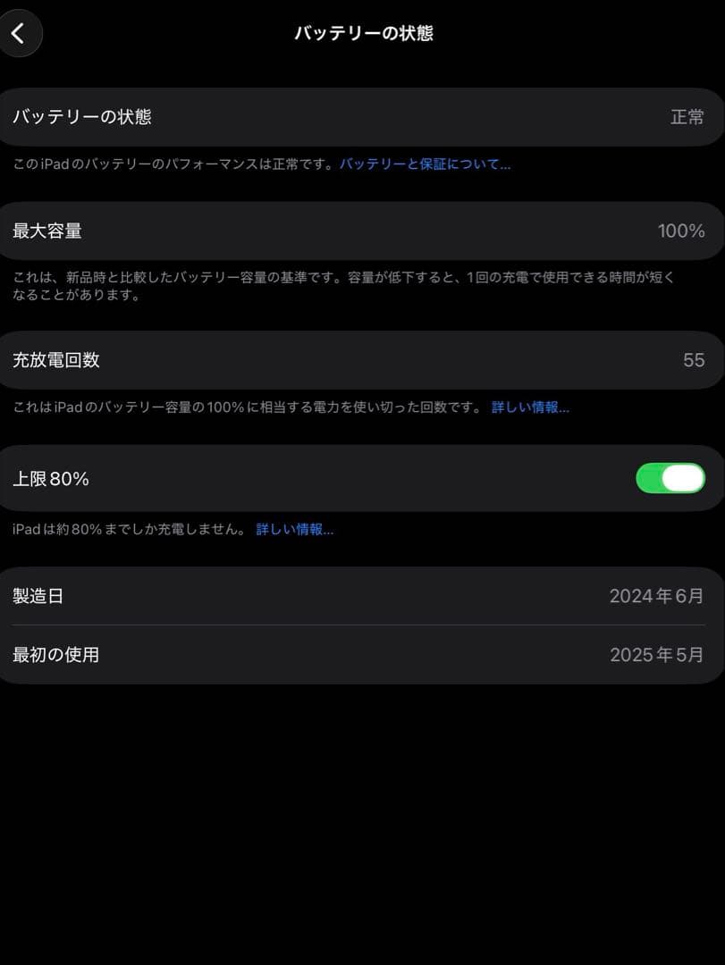 iPad Pro (M4) 13インチ セルラー、ナノテクスチャーガラス　極美品
