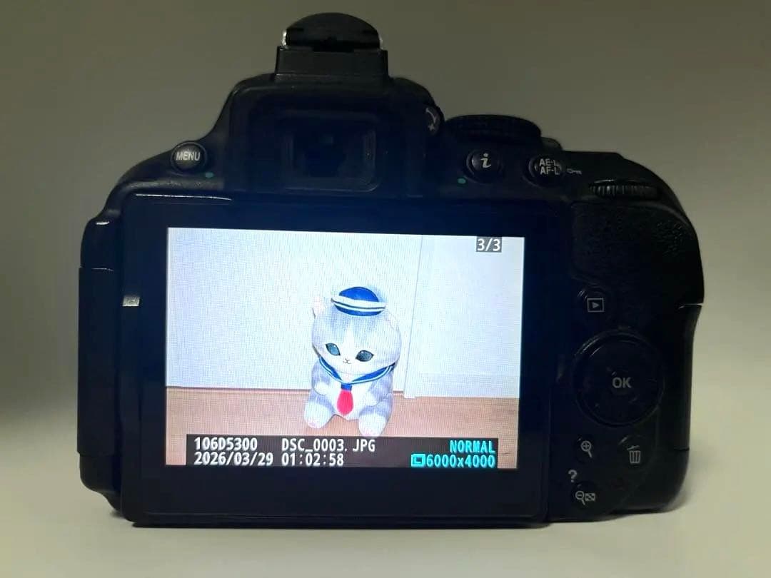 Nikon D5300 デジタル一眼レフカメラ 望遠レンズ スマホ転送 初心者