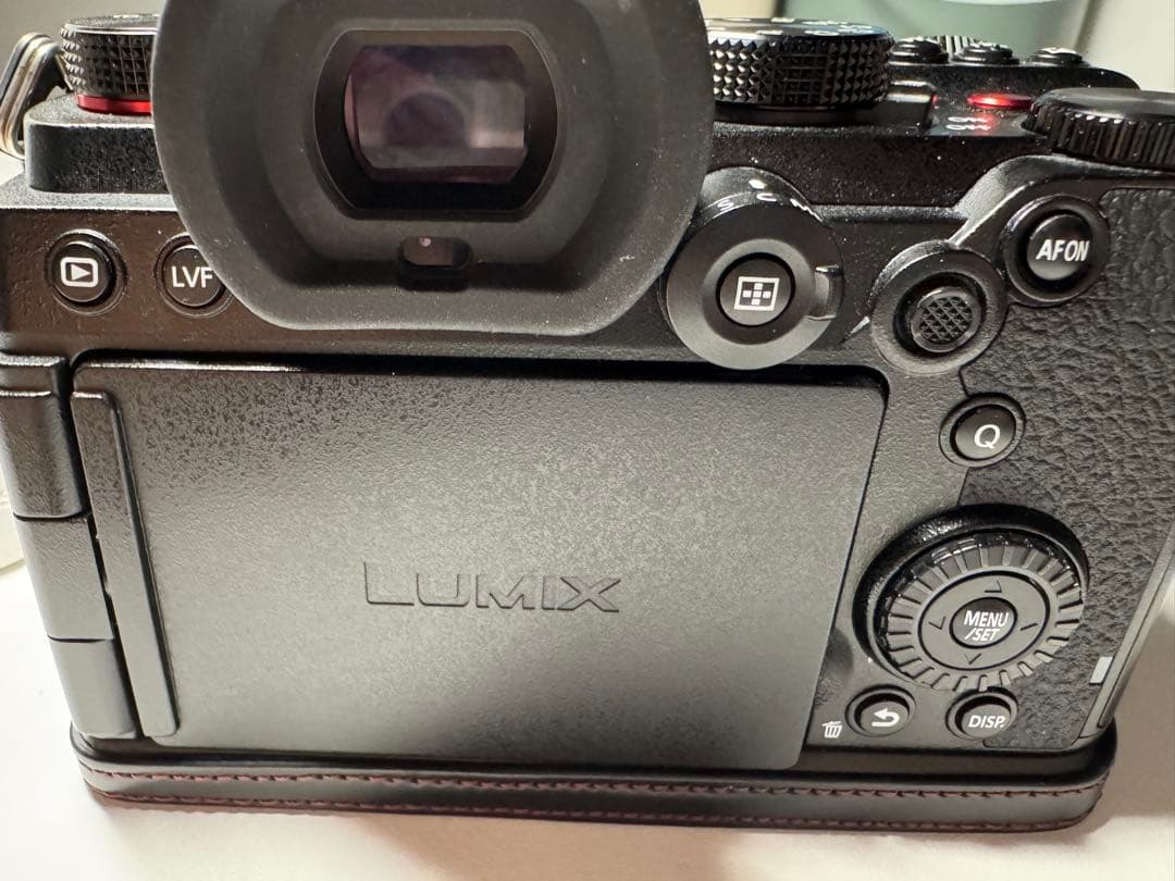 Lumix DC-S5 ミラーレスカメラ 本体 美品