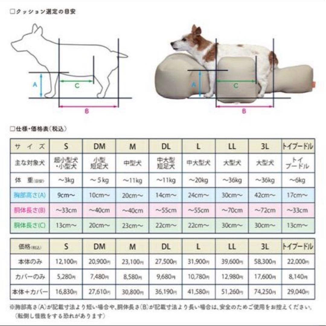 OneAid リラクッション　DM 本体のみ