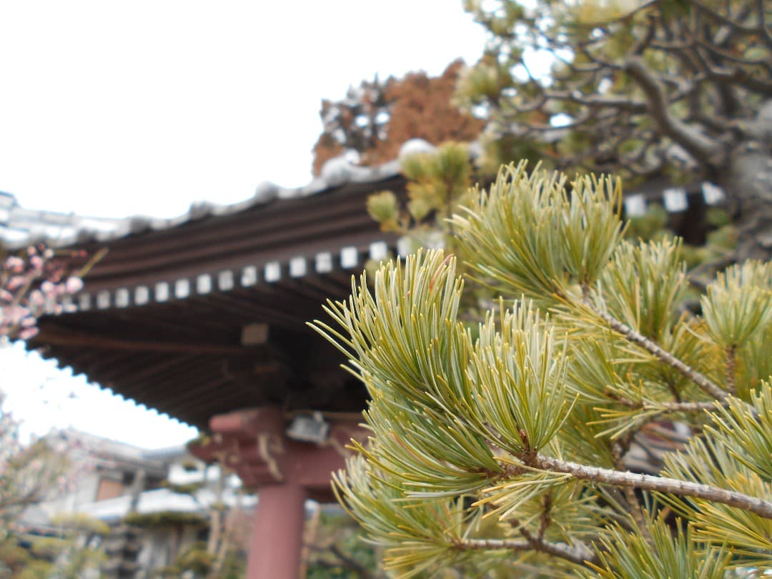 実写美⭕️【動作確認済】Nikon COOLPIX A100 デジタルカメラ