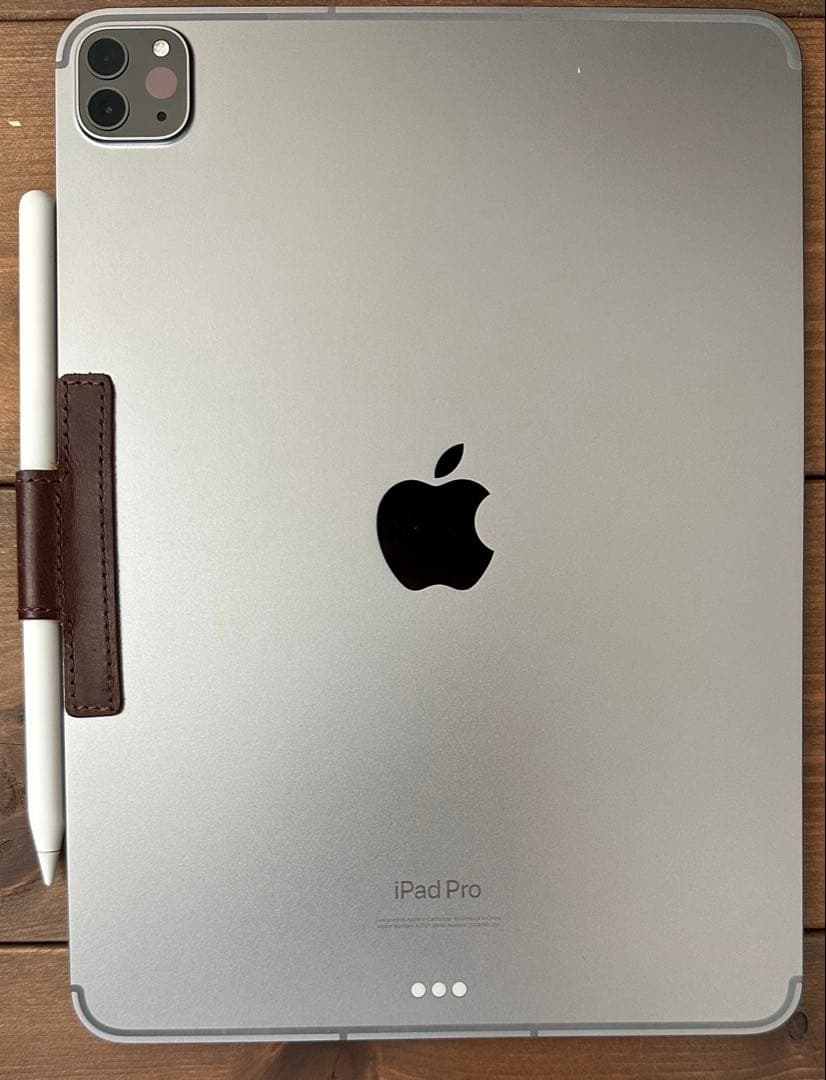 【極美品】iPad Pro M2 11 256GB Cell + Pencil2