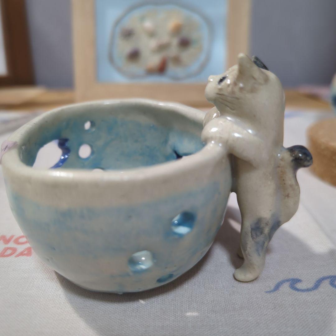 めだかの喜ぶ猫さま(=^・^=)『す』
