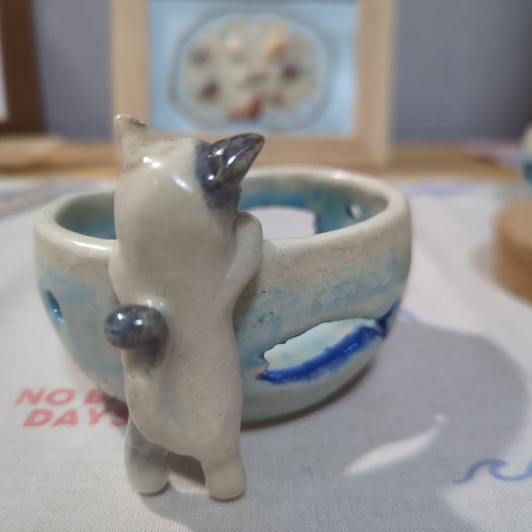 めだかの喜ぶ猫さま(=^・^=)『す』