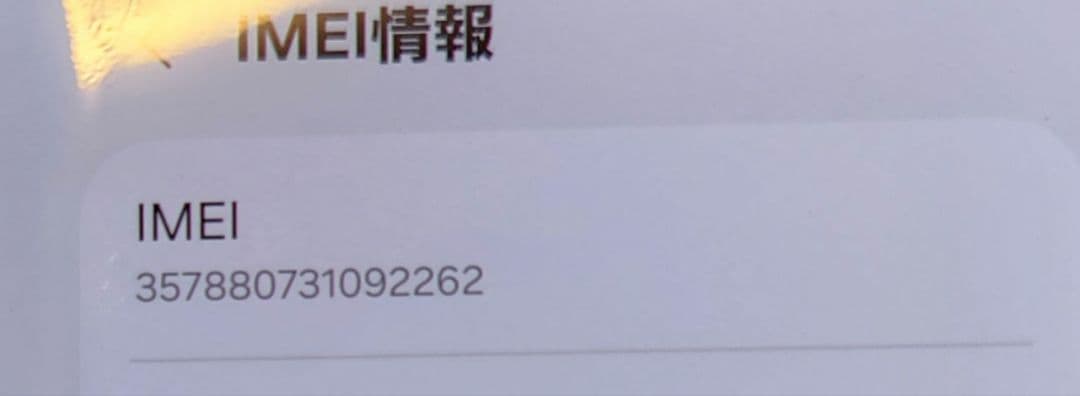 Galaxy Z Fold 3 5G 国内版 au(SCG11)ケース付き