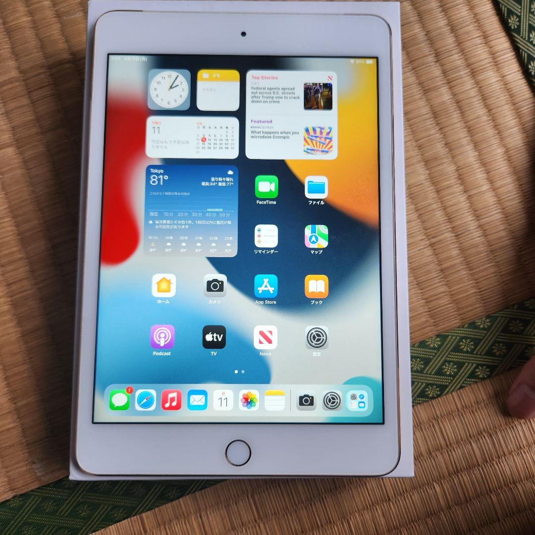 Apple Ipad Mini 第4世代 32gb SIM フリー