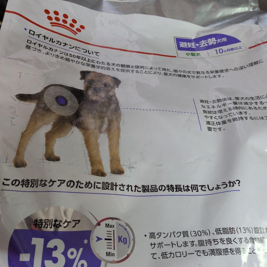 ロイヤルカナンミニステアライズド避妊去勢犬用 8kg×2袋セット 新品未開封‼️