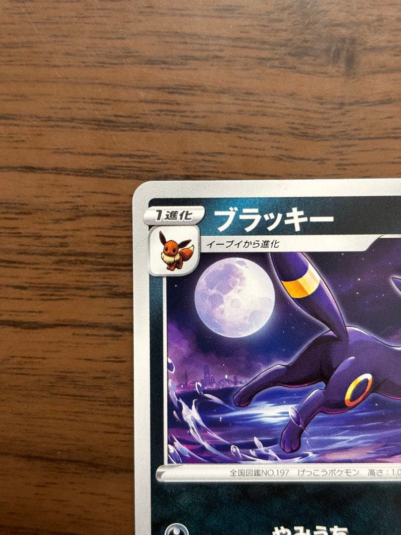 ポケモンカード！ブラッキー：ソード&シールド プロモカード　161/S-P