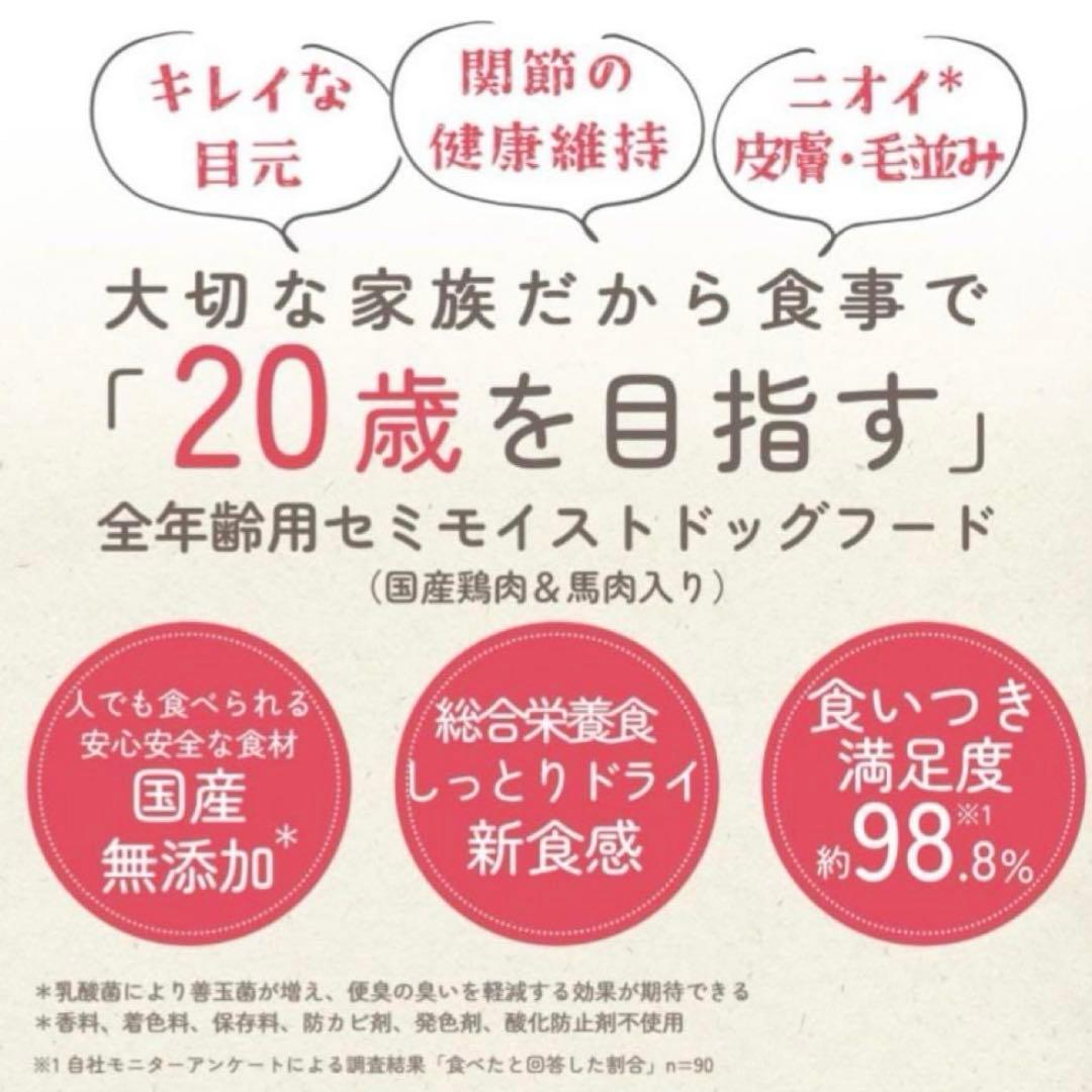 ミシュワン MISHONE セミモイストドッグフード　全年齢用 800g×2袋