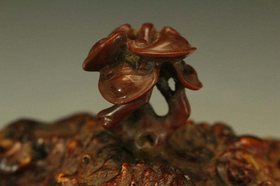 中国美術 奇木 朱石刻 霊芝 摘 稚龍 香炉 高24cm(LC588)
