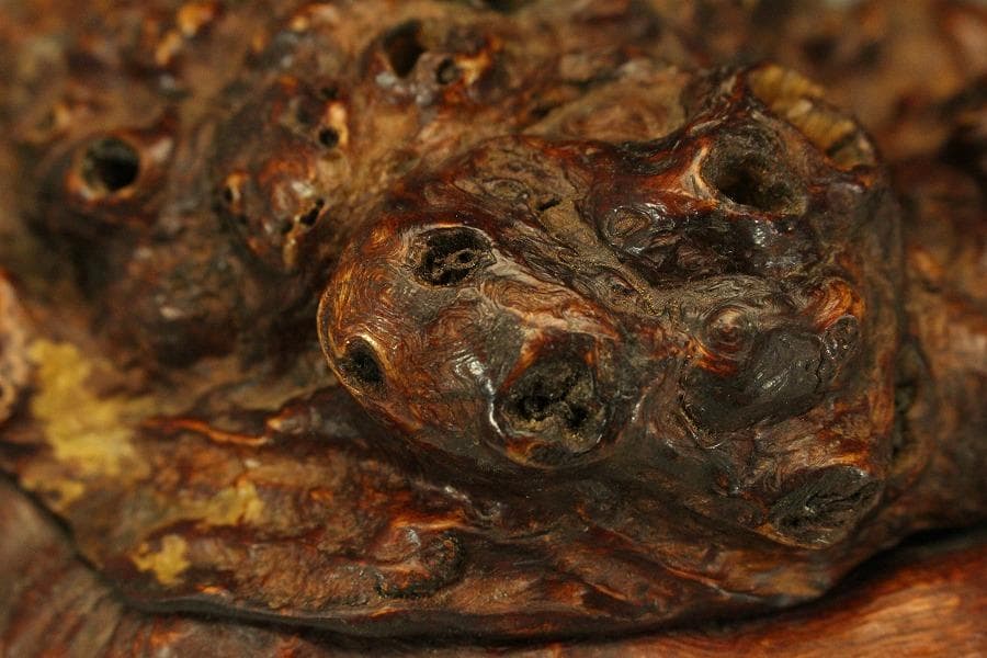 中国美術 奇木 朱石刻 霊芝 摘 稚龍 香炉 高24cm(LC588)