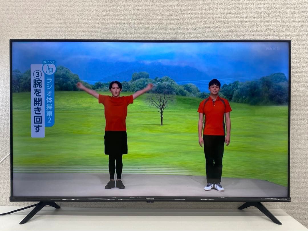 Hisense ハイセンス 液晶テレビ 43インチ 43E65G 2021年製