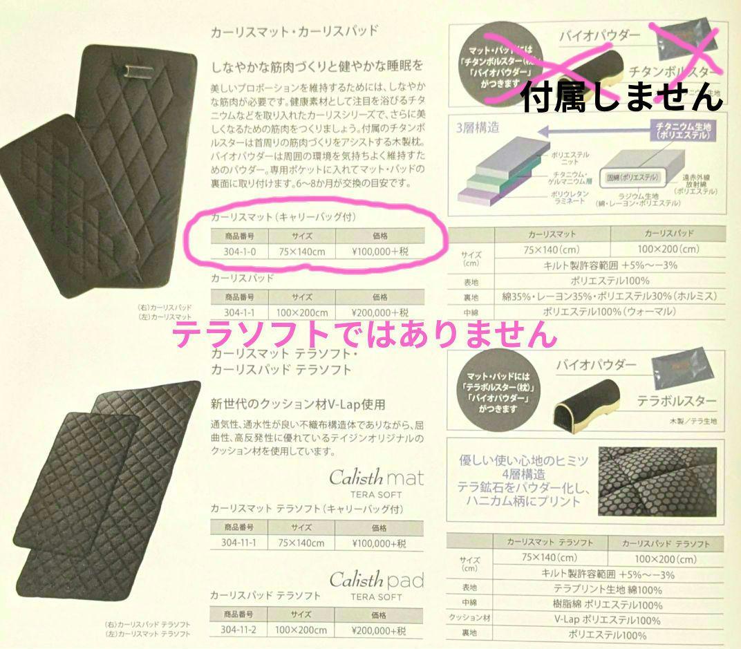 【中古美品】YOSAカーリスマット　75✕140cmサイズ　収納ケース付き
