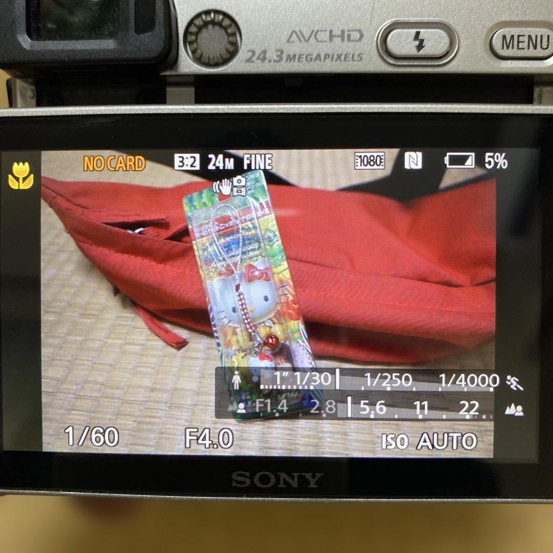 SONY α6000 ミラーレス一眼
