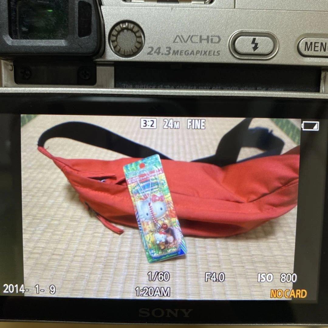 SONY α6000 ミラーレス一眼