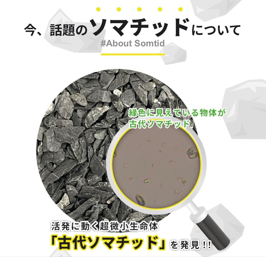 【新品未開封】ソマチ(古代ソマチッド) 石タイプ 100g 2袋セット