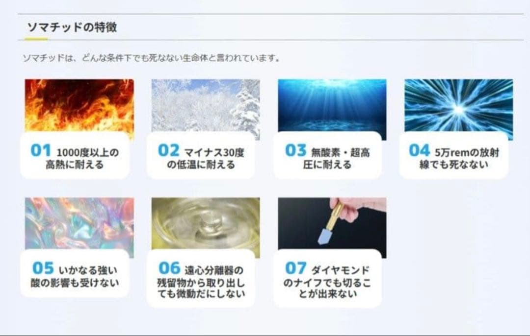 【新品未開封】ソマチ(古代ソマチッド) 石タイプ 100g 2袋セット
