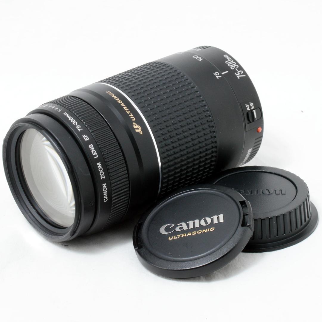 ⭐️美品⭐️Canon キャノン EF 75-300mm 4-5.6 Ⅲ USM