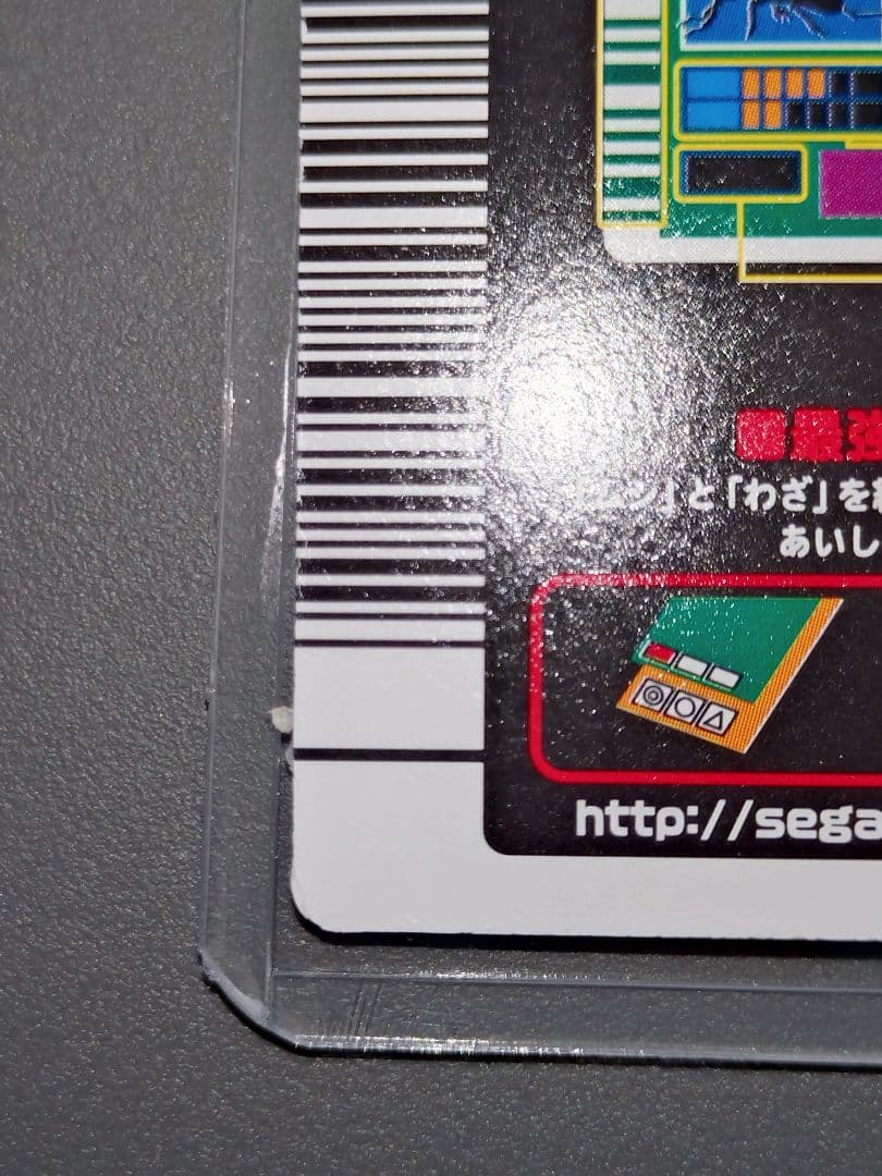 020パラワンオオヒラタクワガタ 2003夏 美品