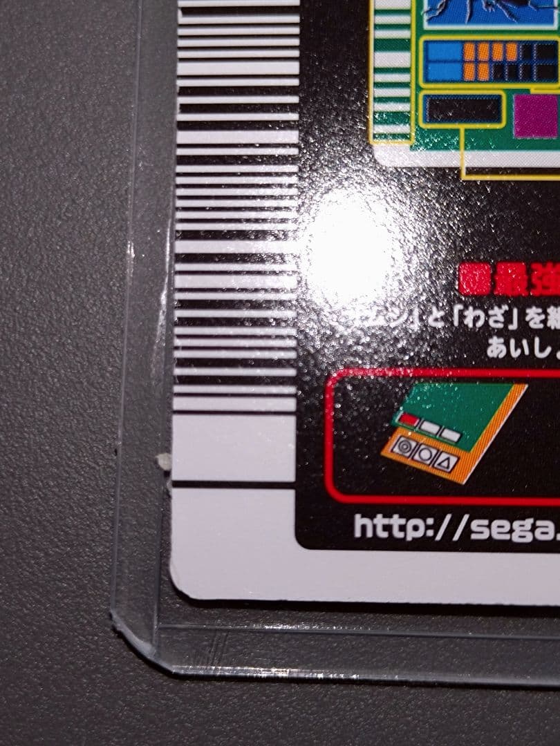020パラワンオオヒラタクワガタ 2003夏 美品