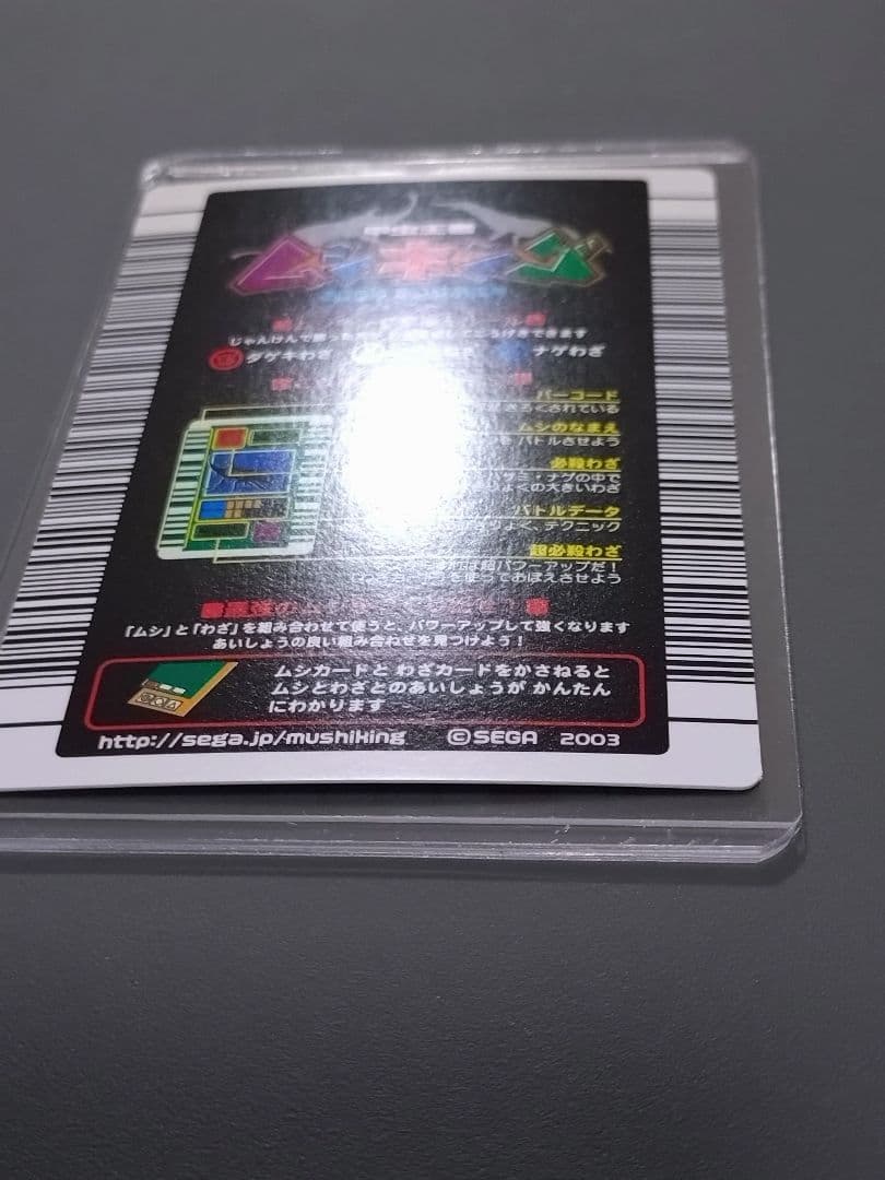 020パラワンオオヒラタクワガタ 2003夏 美品
